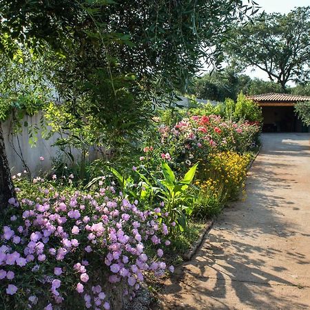 Girasole Villa Limni  Bagian luar foto