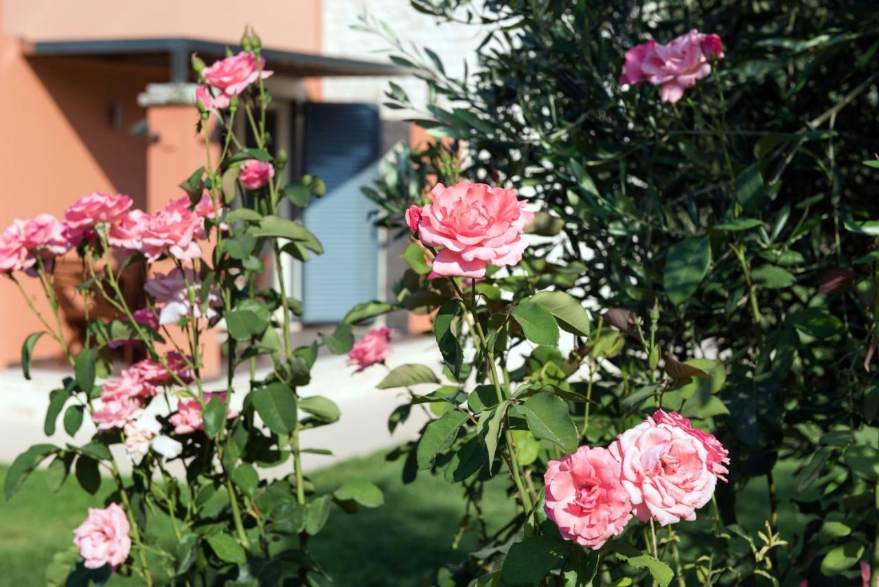 Girasole Villa Limni  Bagian luar foto